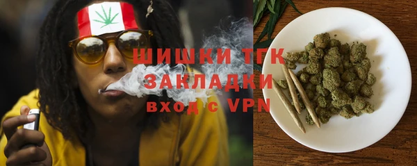 гидра Краснослободск