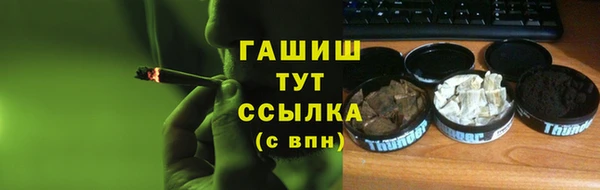 гидра Краснослободск