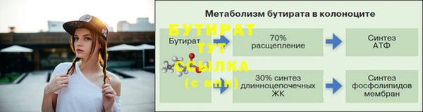 гидра Краснослободск