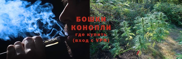 гидра Краснослободск