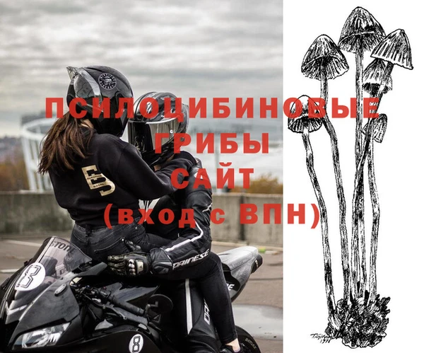 гидра Краснослободск