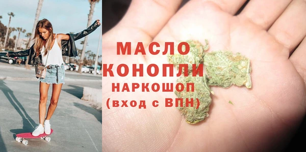 гидра Краснослободск