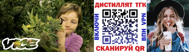 Купить где  Шенкурск  ТГК вейп 