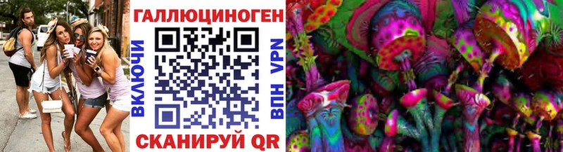 Псилоцибиновые грибы GOLDEN TEACHER  Купить  Шенкурск 