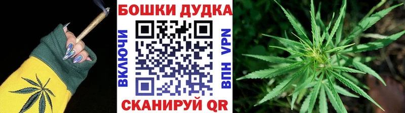 Шишки марихуана сатива  Купить  Шенкурск 